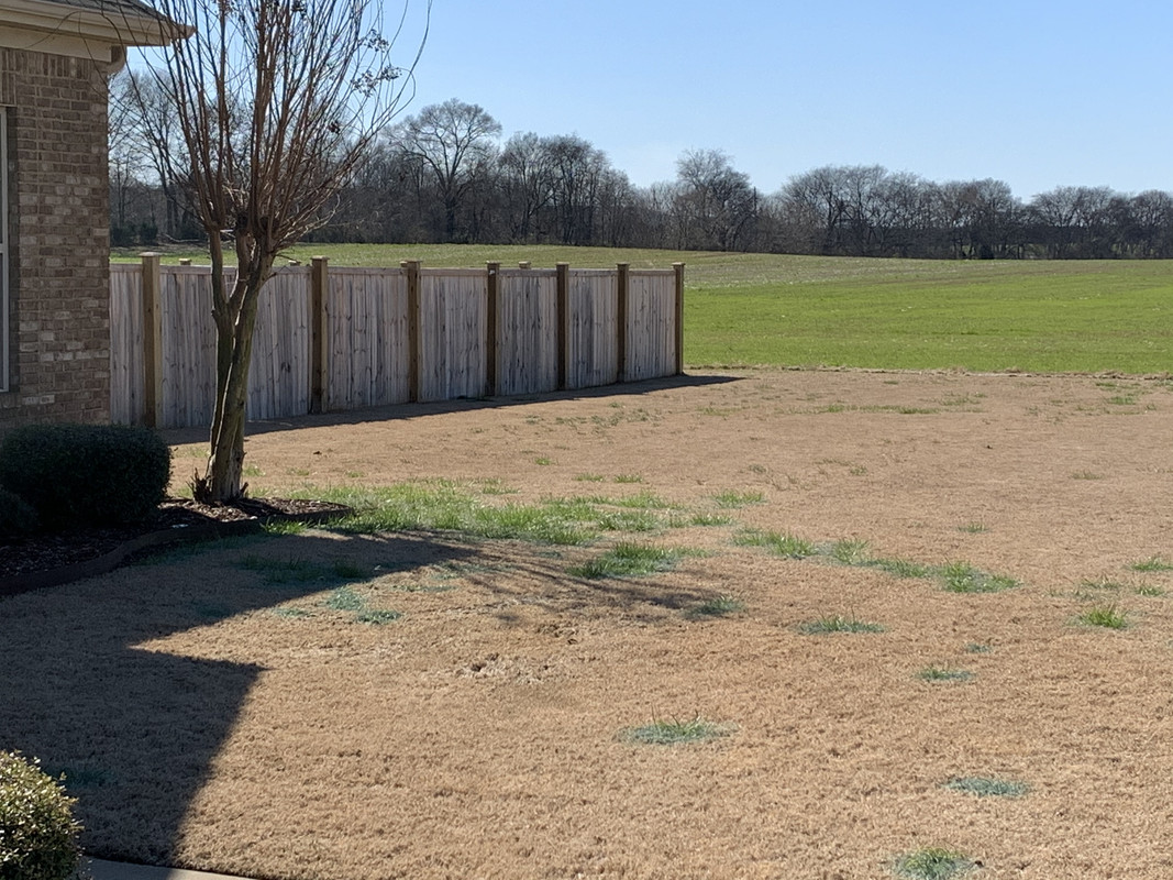 1F203EDE-D2BA-4E48-A8E0-78B47E2DAE39