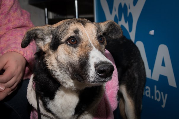 28C427DE-0297-447B-B534-9E6A86A1FE1C