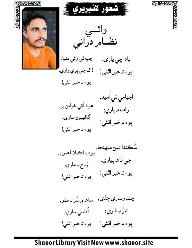 شاعري تصوير — شعور لائبريري