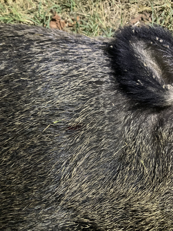 56E8C9DD-FECF-4AD0-885F-BE070C7B0608