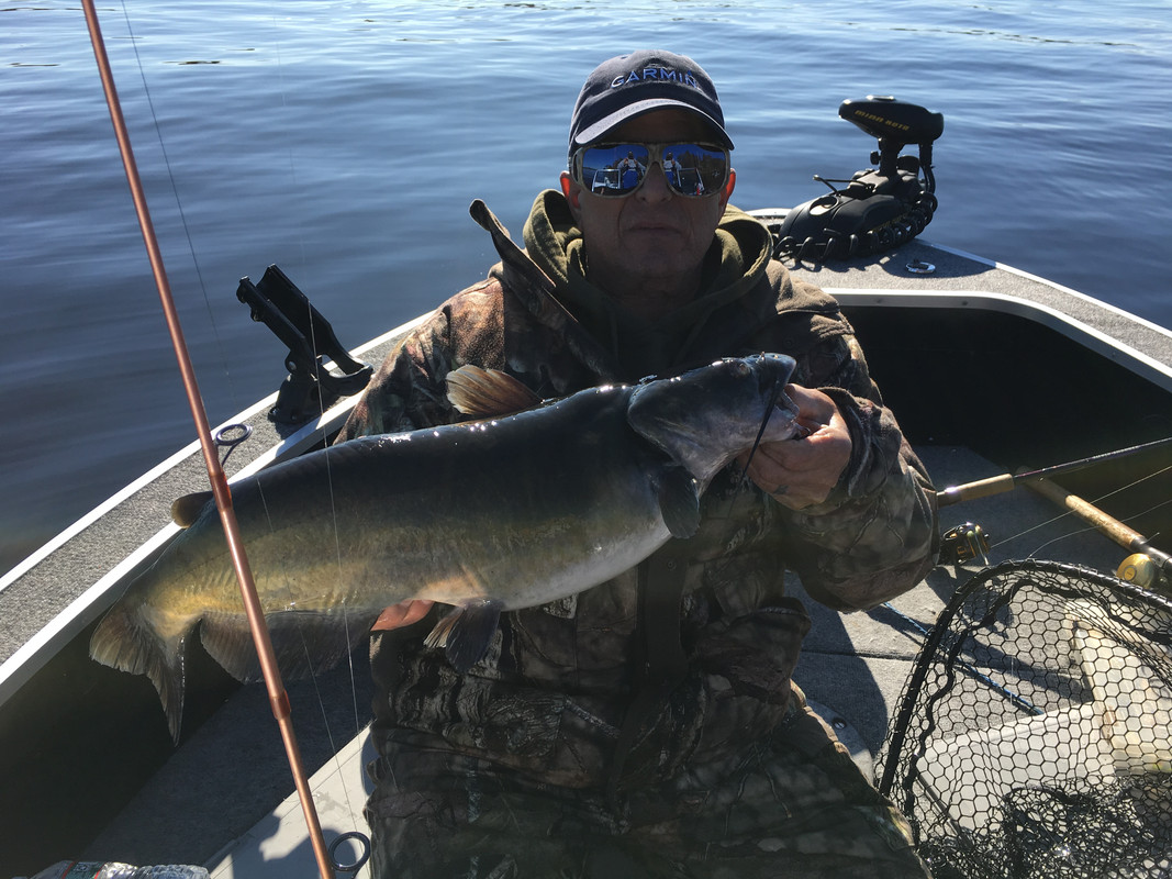 7B2C5707-9B2C-43B1-86E5-7E0D283B6091