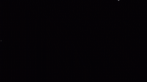 D2-W-1.gif
