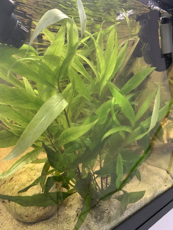 E837DF1A-E1F0-435D-8CC1-60DCD0E82B5D