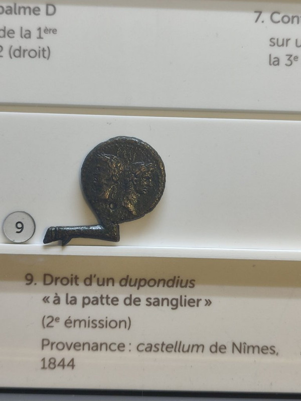 Dupondio de Nimes Pata negra. Museo de Historia de Nimes. IMG-20220605-WA0002