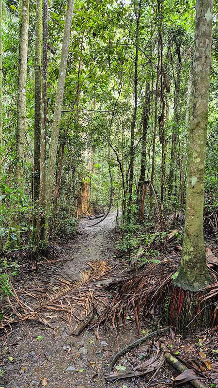 …and the trail