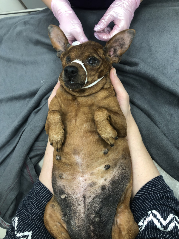 D2215747-716D-4B17-8F1C-E53E3217994E