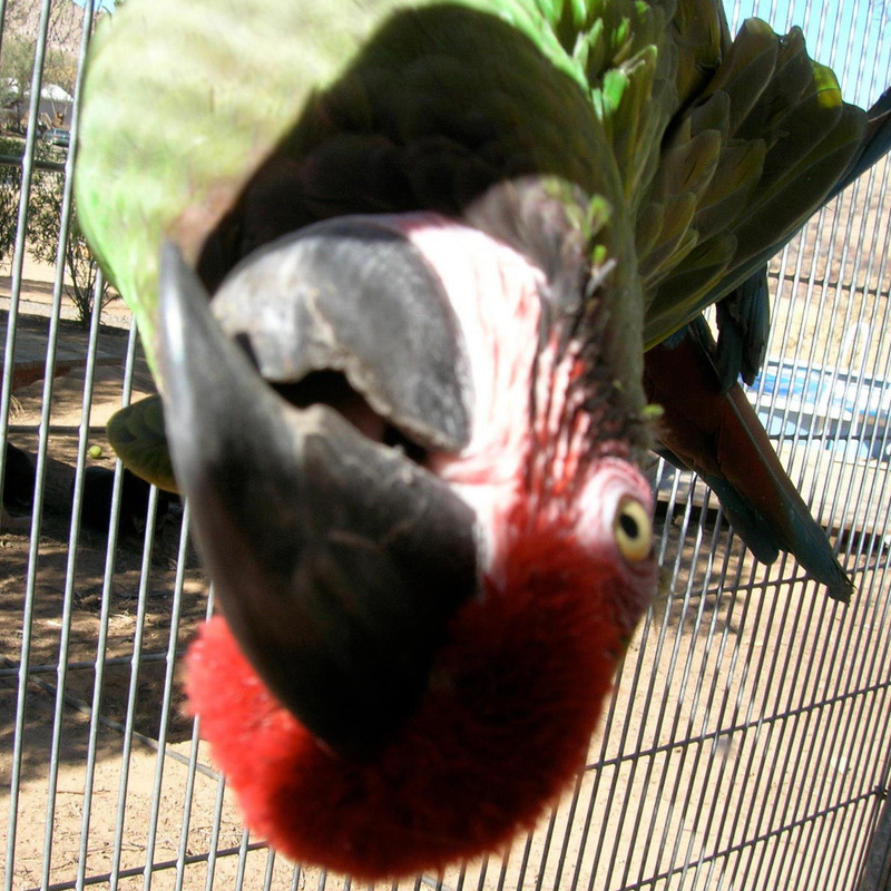 D9D8FFBC-951D-4722-91E4-669BFCC935F3