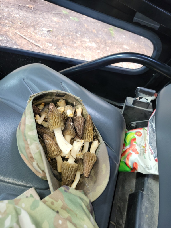 81922447-E42F-49A2-A9D8-16A19ECB9D9B