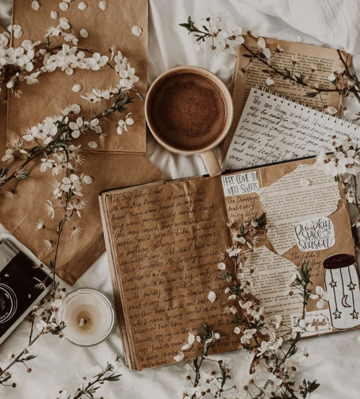 Screenshot_20230124_001615_Chrome