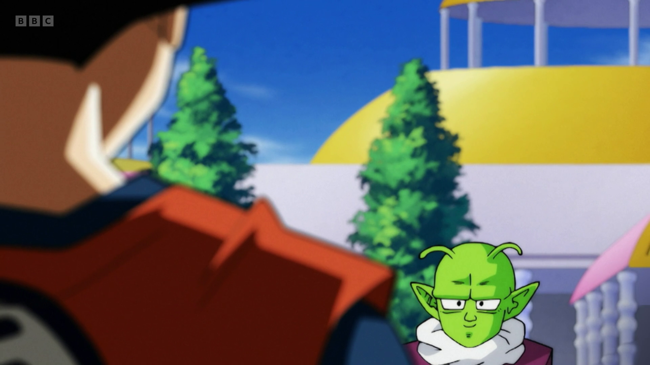 vlcsnap 2026 01 11 17h19m28s824