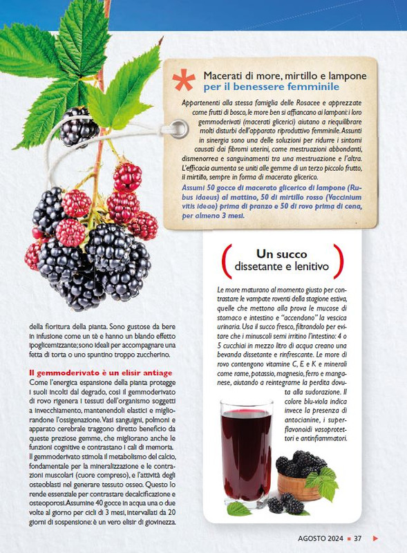 Sal Nat Ago 2024 (6)