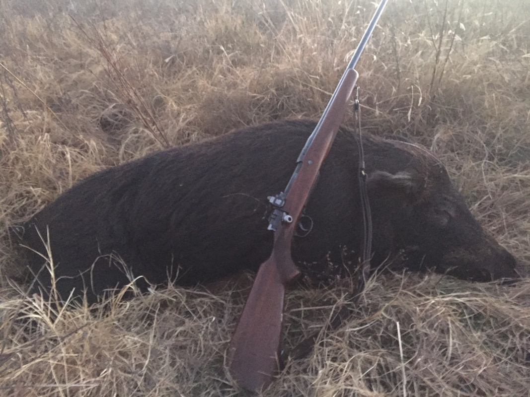 31D3F2B5-3C67-42CB-919D-F7D78DD78962