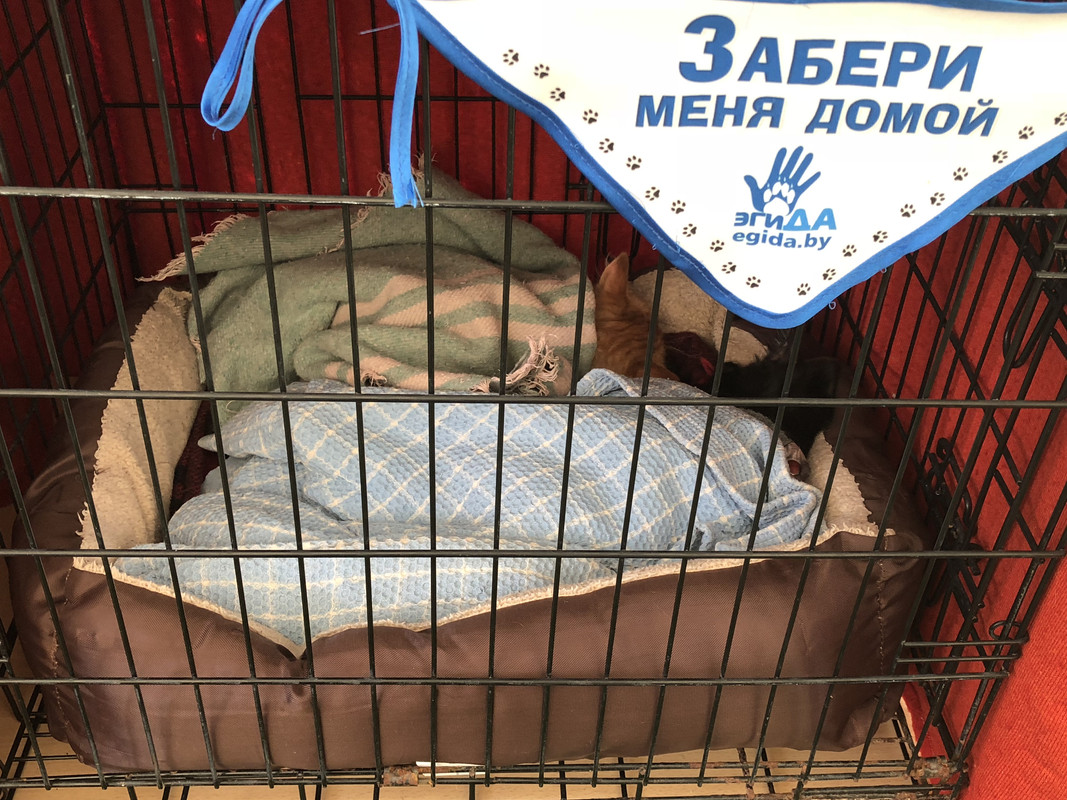 0579F7F7-9170-411B-968C-223BA5DE6B5B