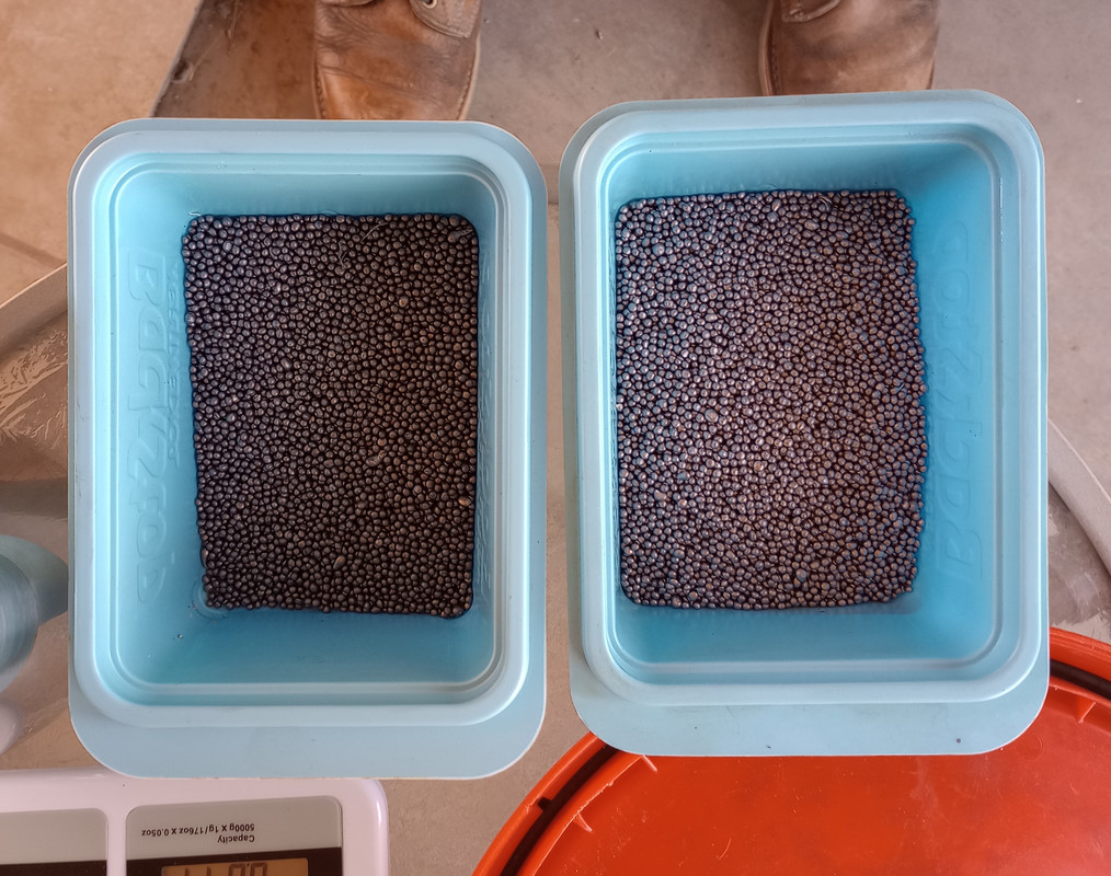 IMG_20241027_112655824~3