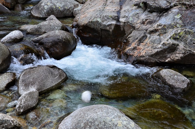 EL CHARCO VERDE-7-2-2015-AVILA - Paseando por España-1991/2016 (14)