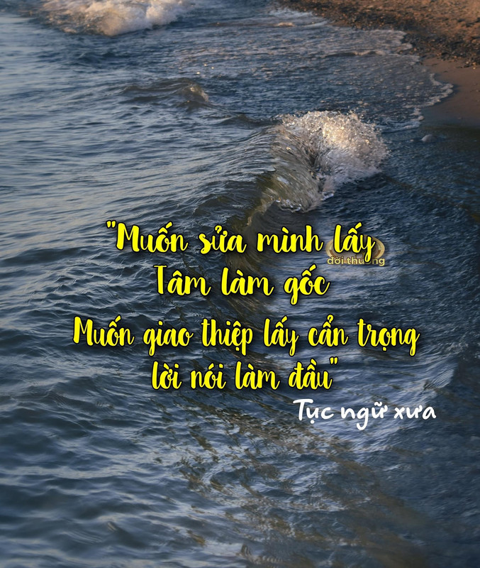 [Image: CA23-B766-5-F40-43-F3-9-BCD-1-DE3-A54-FA764.jpg]