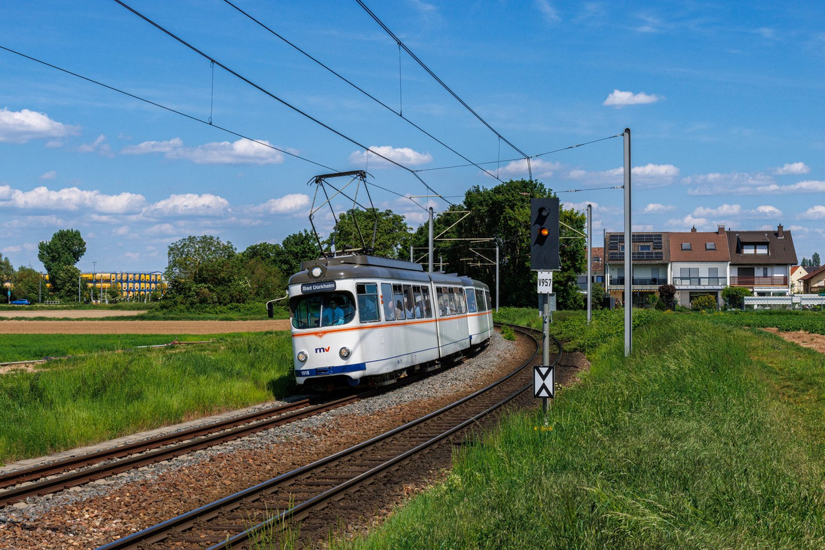 [Bild: 53745862708-6a950da370-o.jpg]