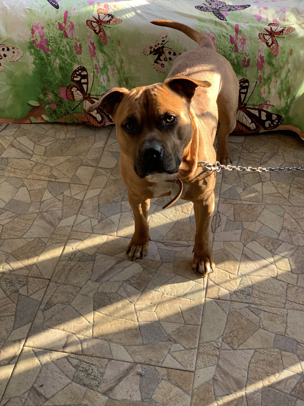 80724047-4079-4454-97AF-EDF41B863742