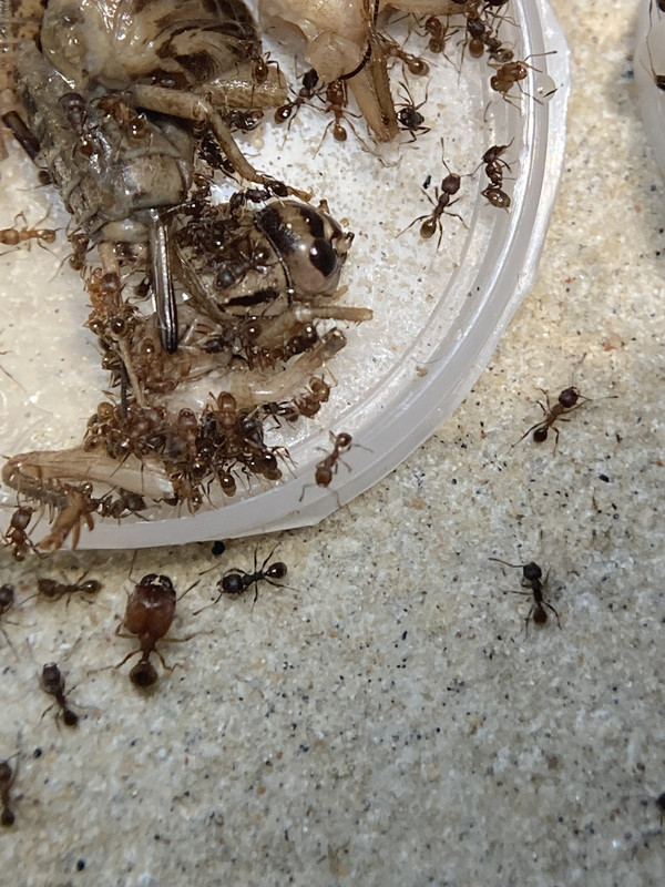 10D6DACD-A34D-4E44-9B76-C4316D33E6FE