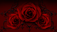 red 93