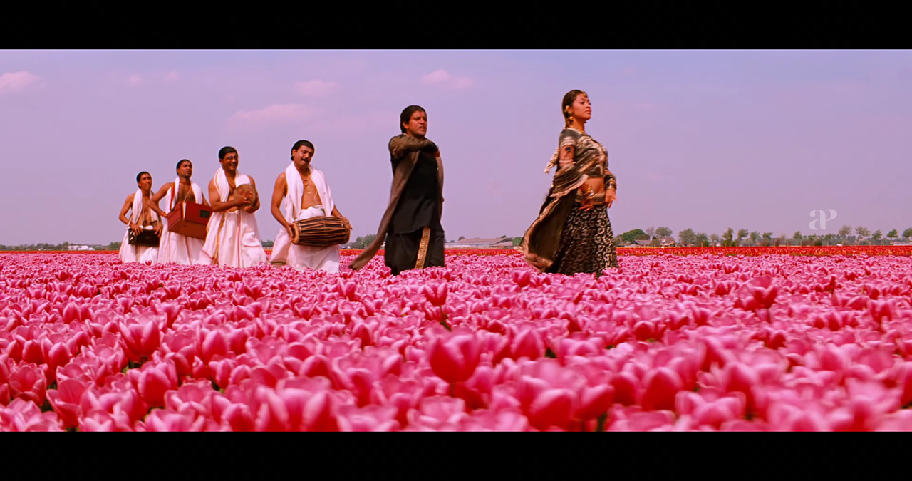 VideoCapture_20241122-200747