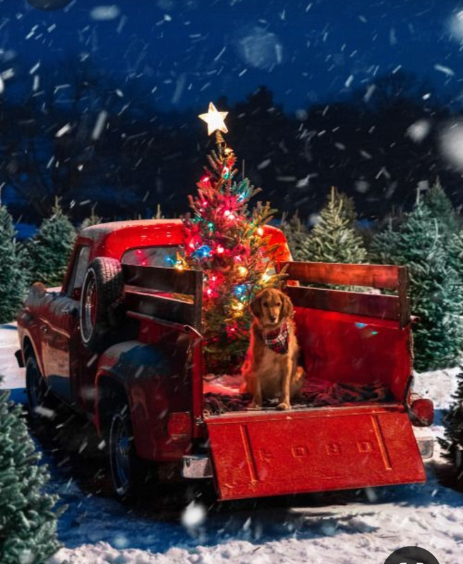 Screenshot_20230531_222826_Pinterest