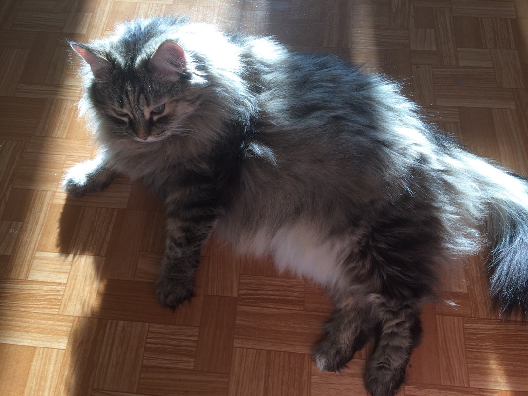 40A342C2-DA96-4826-9728-C9BEE74E3F4C