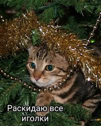 images (4)