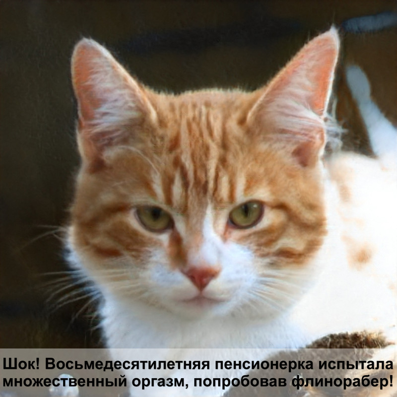 сибирская кошка окрас табби