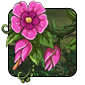 rainsong-jungle1.png