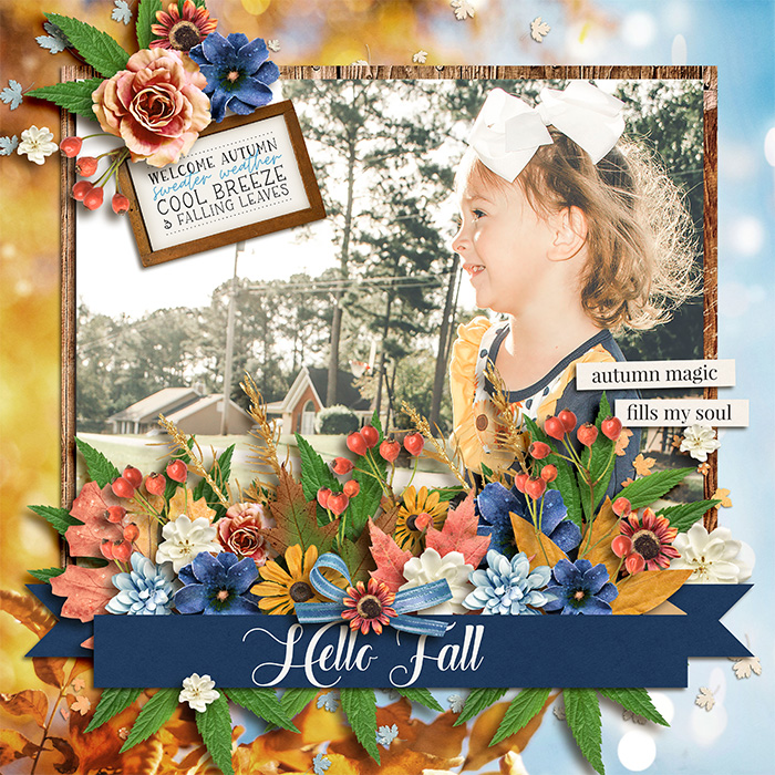 KCB-hellofall-CT7.jpg