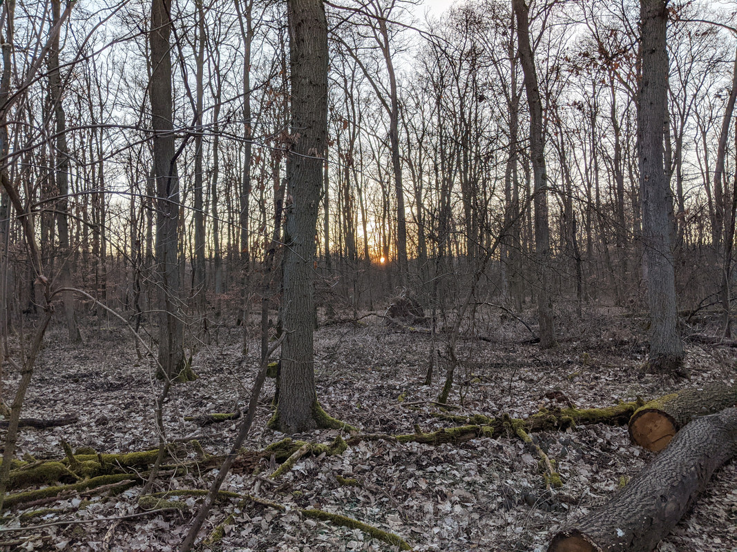 PXL_20210306_164716143