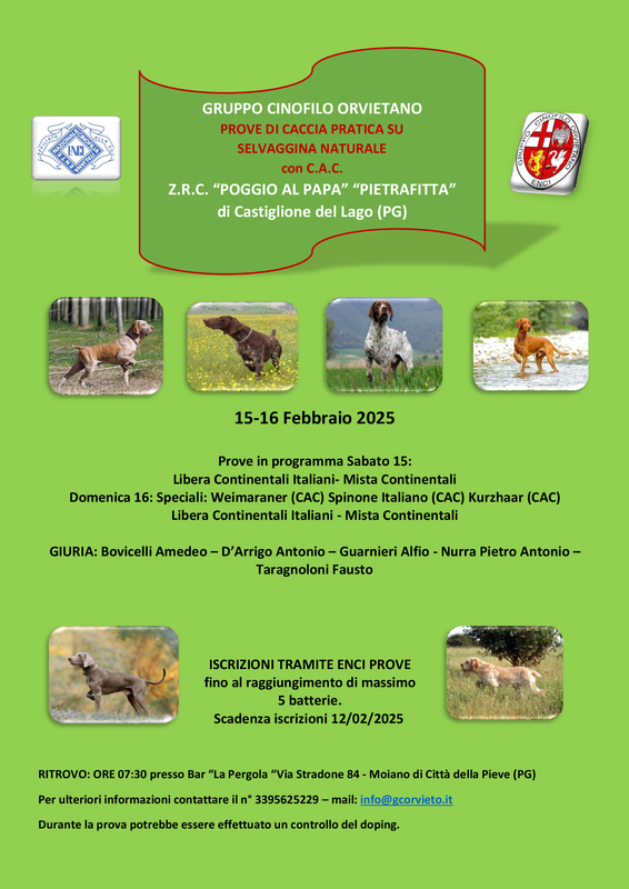 Prove in programma 15-16 FEBBRAIO 25 (2)