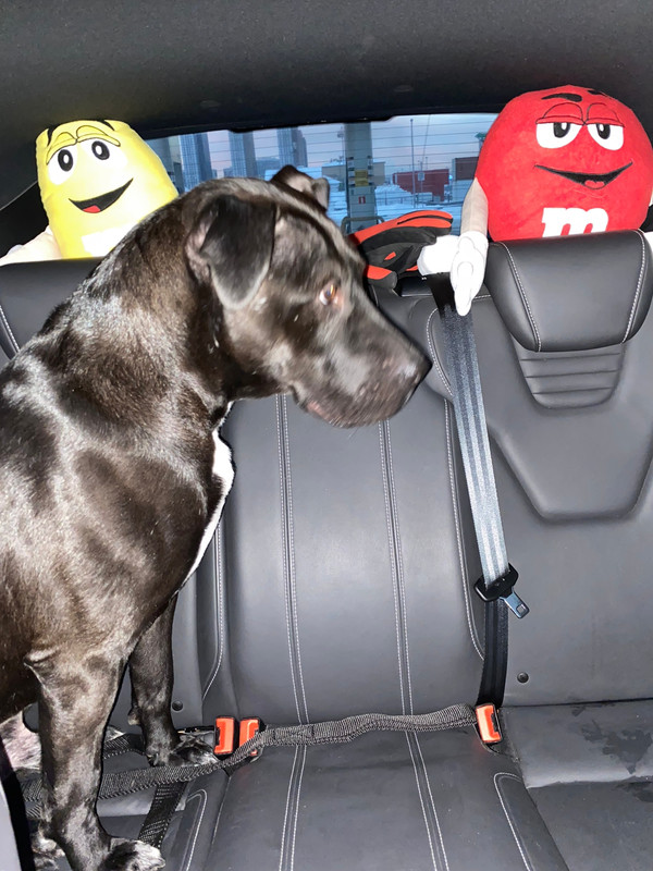 2AF9AB29-62CF-4ADB-9347-85FA7FFB630C