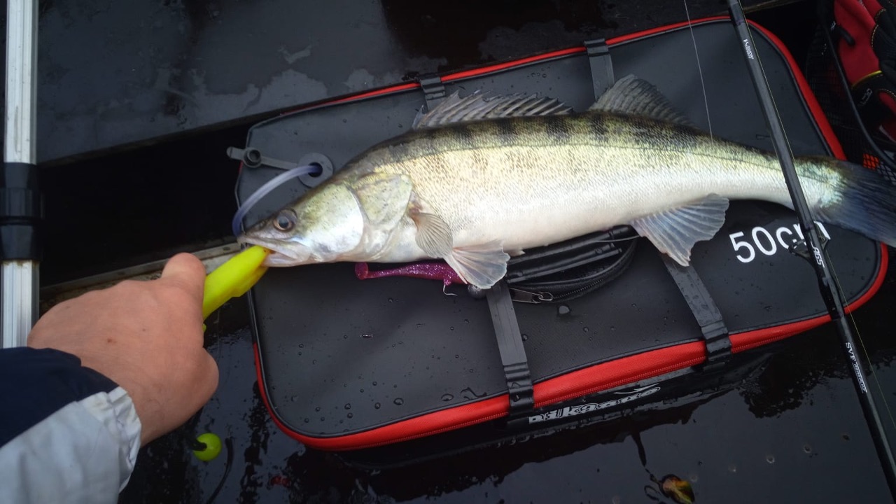 4 Геримантас Лилейка Каунасское отзыв джиг спиннинг рыбалка  бле