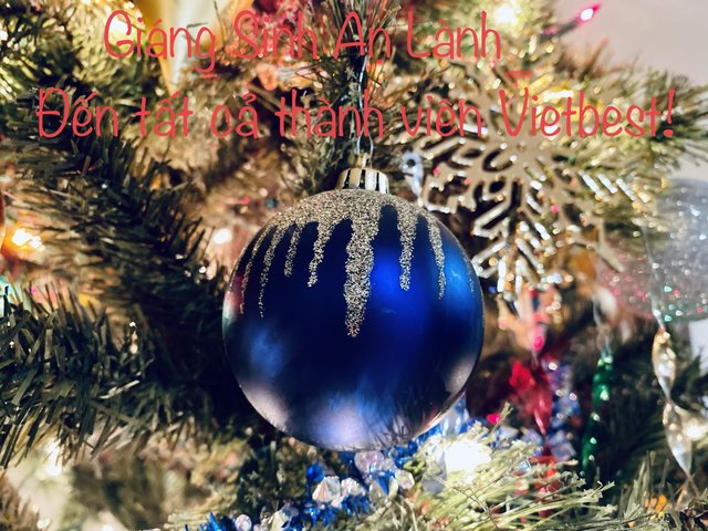 [Image: F2-F01393-BA43-40-F5-B560-B94-B66296740.jpg]