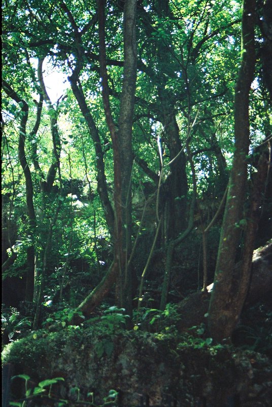 Santo Domingo - República Dominicana y sus pueblos-1998/1999/2004 (1)