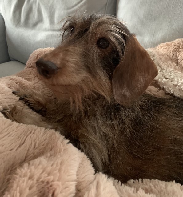 [Image: 99-EFE2-BF-818-A-408-B-B6-D1-733-CE139-D3-AC.jpg]