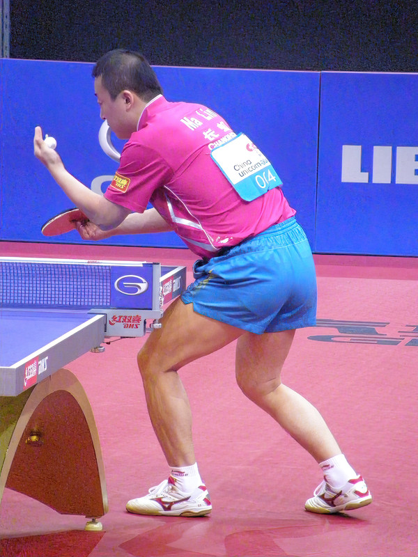 P5121445-Tsai.jpg