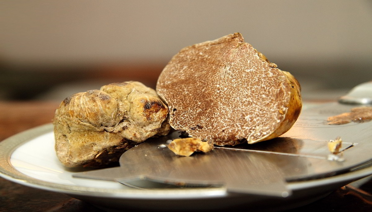 Prezzi alle stelle per il tartufo bianco