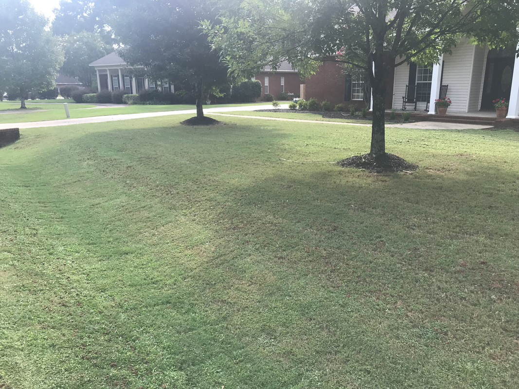 B74FC65B-5898-46FC-89AD-C85AB580026F