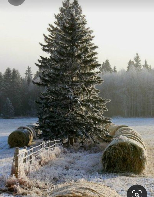 Screenshot_20230405_215229_Pinterest