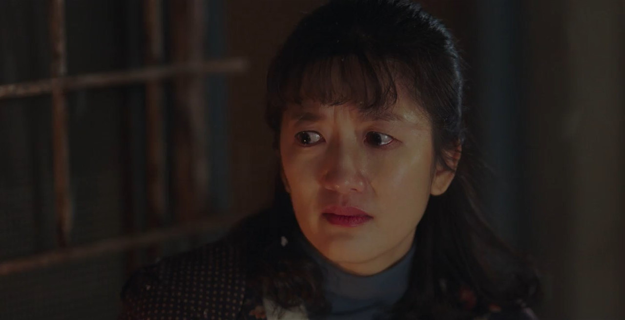 Crash Landing on You (2019) Season 1 [Hindi] WebRip 480p 720p ESub - Complete Screenshot