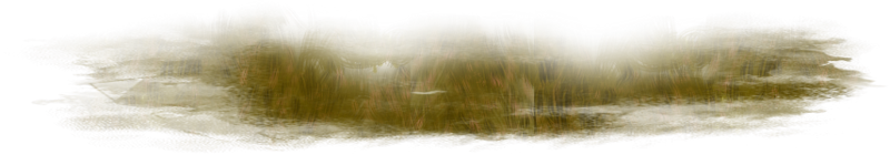 IPD_AH_Element (107)