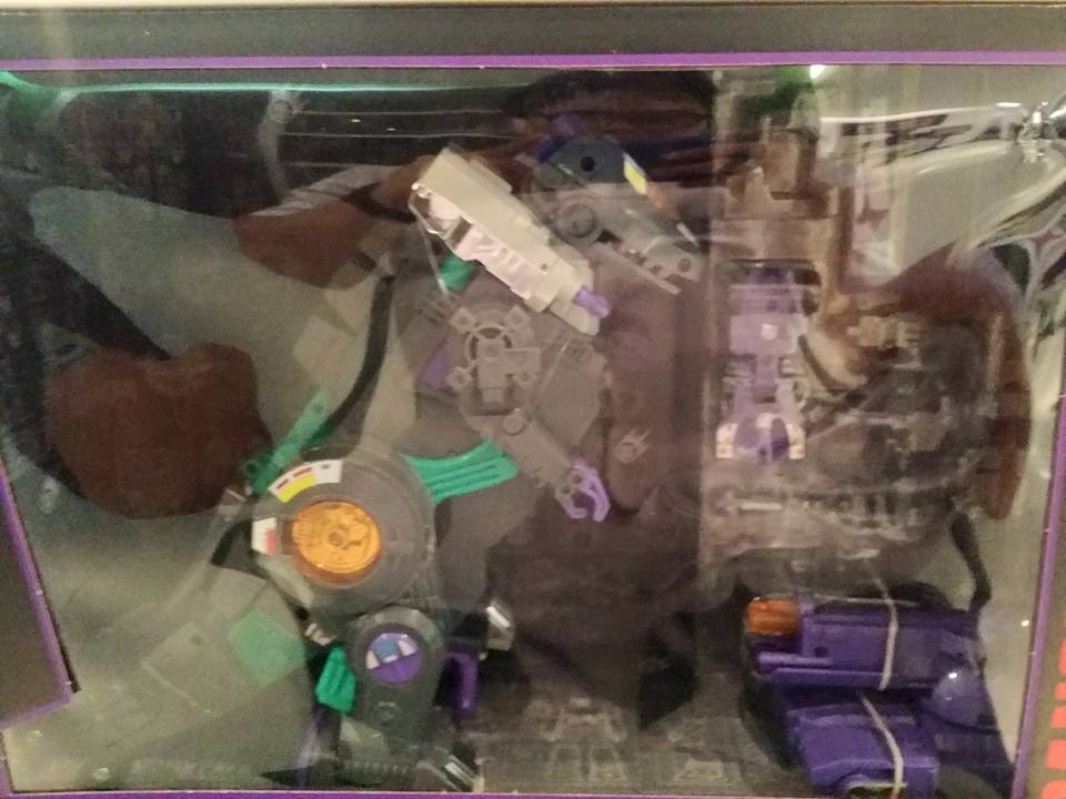 11215106_10204331261226569_3378161966852435860_n