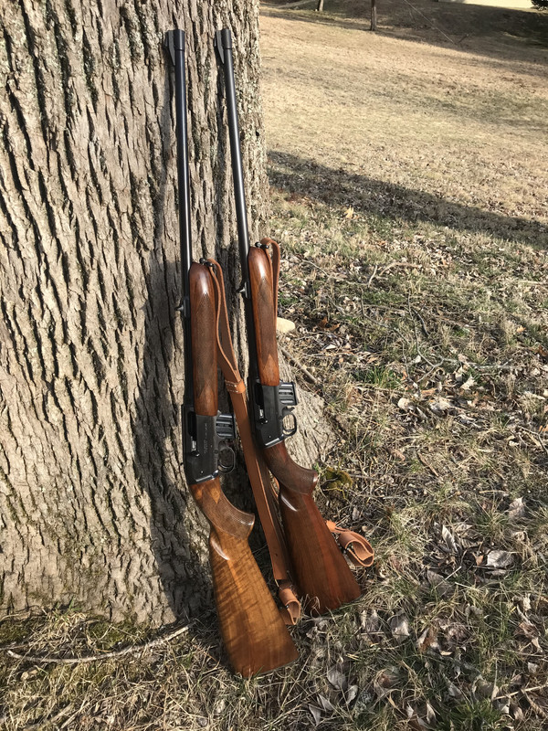 ACCDC5A6-0DDB-4E39-B5FD-A42F0C276121