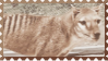 made by @transmascgarfield on tumblr