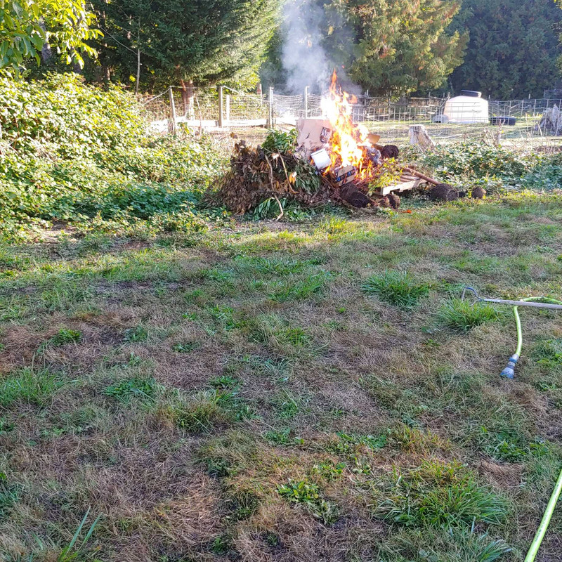 fire.jpg