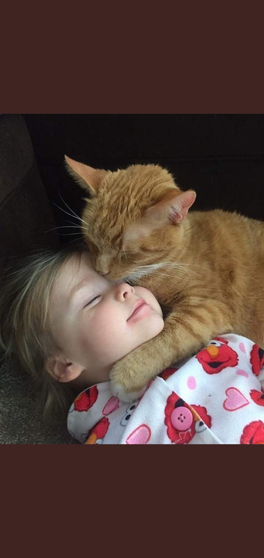 Screenshot_٢٠٢١٠٦٠٥-١١٠٨٢٩