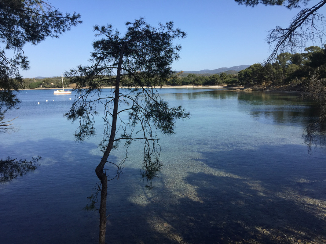 3324B9A2-5FB5-492E-AFC5-7C7FAF0D2CBA